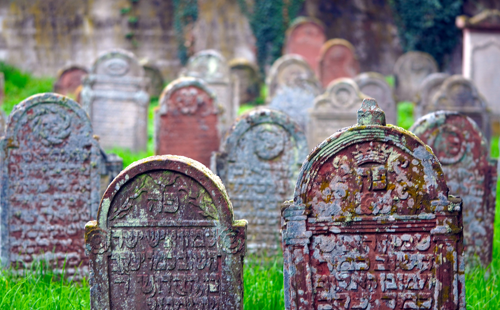 Przeprowadzono inwentaryzację jednego z największych cmentarzy w Wielkopolsce