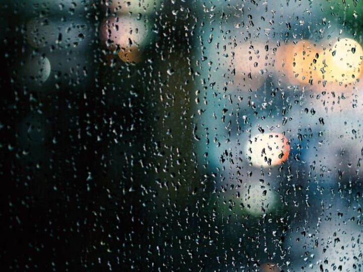 Gęsta mgła w Wielkopolsce – ostrzeżenie dla mieszkańców