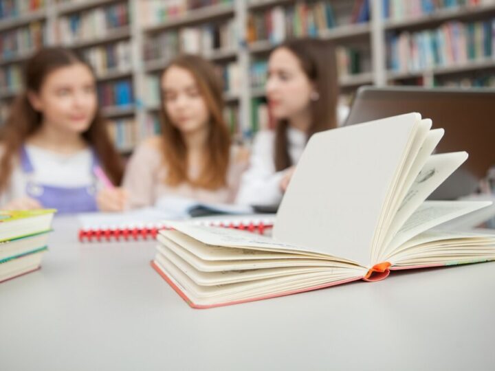 Międzynarodowa wymiana kulturowa w Szkole Podstawowej nr 5 w Krotoszynie