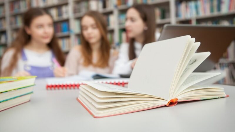 Międzynarodowa wymiana kulturowa w Szkole Podstawowej nr 5 w Krotoszynie