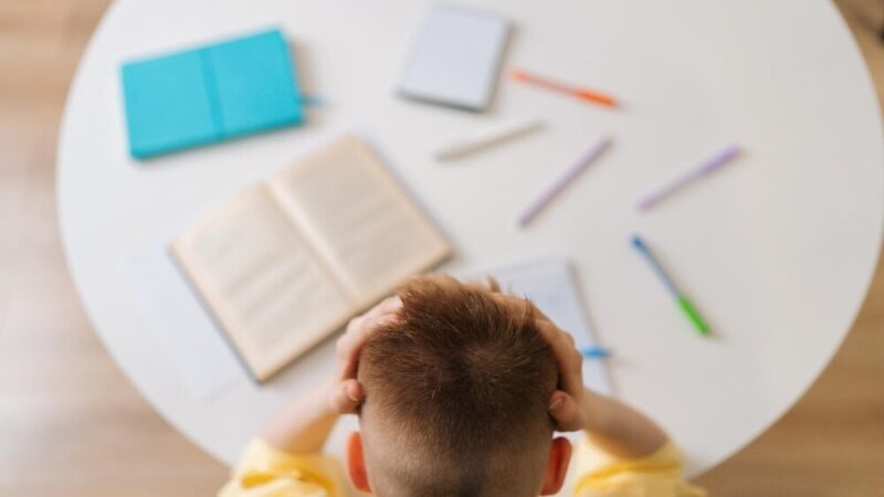 Międzynarodowy projekt edukacyjny w Gehren: Uczniowie rozwijają umiejętności w naturze