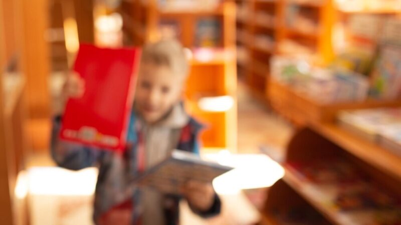 4 Żywioły Przygody” – udane półkolonie dla dzieci w Roszkach